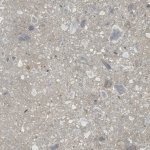 Cerrad Ceppo Nuovo Silver 119,7x119,7