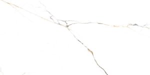 Calacatta White Carving 60x120
