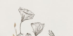 Domino Velo Bianco Flowers 4 Obraz 119,8x59,8