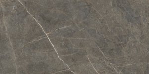 Golden Tile Stone Roots Brown 60x120