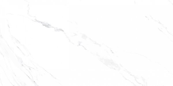 Carrara Blanco Carving 60X120