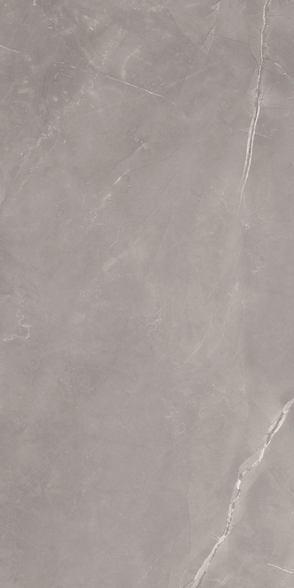 Paradyż Ritual Grey 59,8x119,8