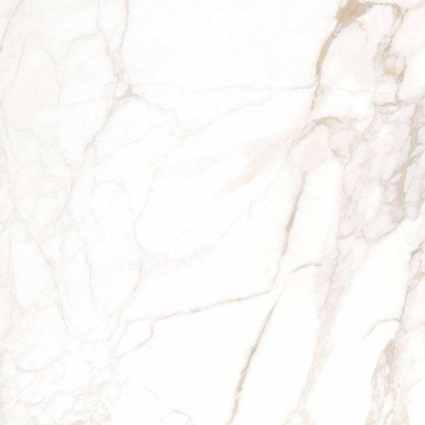 Golden Tile Imperial White 60x60