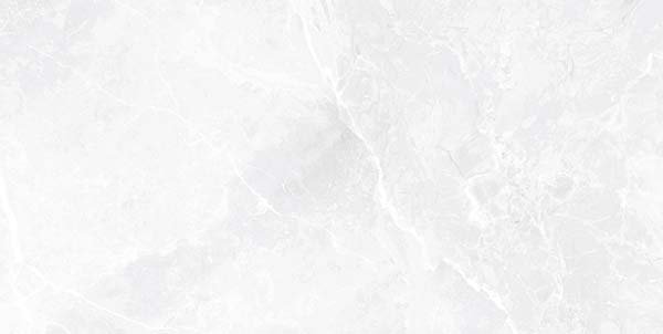 Ecoceramic Earthstone White 60x120