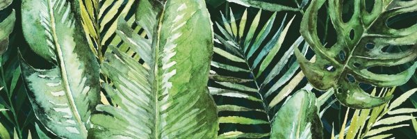 Ceramika Końskie Braga Tropic A Inserto 25x75