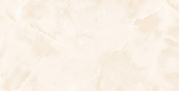 Admire Onyx Poler 60X120