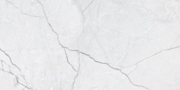 Harmony Grey Carving 60x120