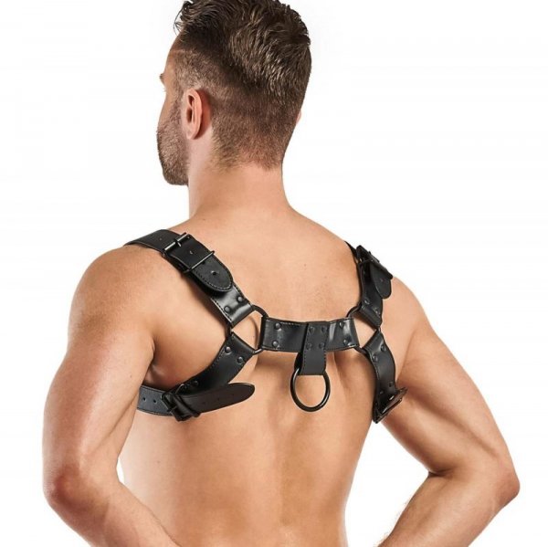 Bedroom Fantasies - Bruno Bondage Harness Black