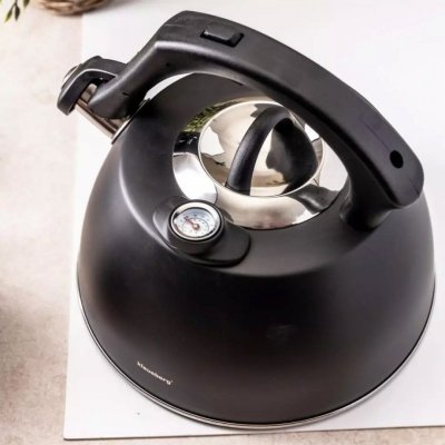 CZAJNIK STALOWY Z TERMOMETREM 3L KLAUSBERG KB-7371