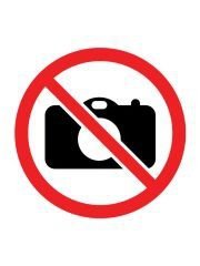 LEGO(R) BOTANICALS 11502