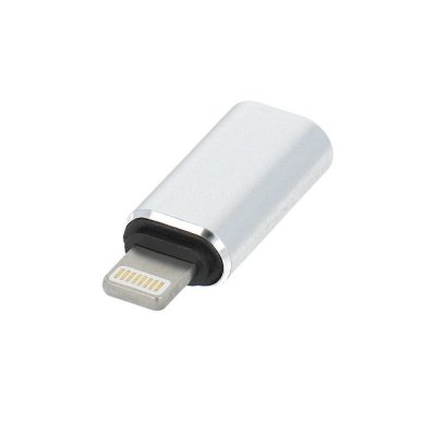 Adapter Typ C (żeński) do Lightning (męski) srebrny
