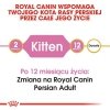 Royal Persian Kitten 400g