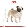 Royal Pug Adult 1,5kg