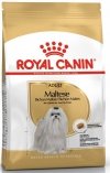 Royal Maltese Adult 500g