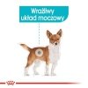 Royal CCN Dog Urinary Care pasztet sasz 85g