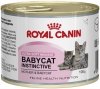 Royal Babycat PUSZKA 195g