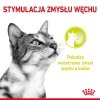 Royal Sensory Smell 85g saszetka w sosie