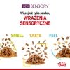 Royal Sensory MIX 12x85g Smell Taste Feel