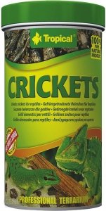 Trop. Crickets 250ml/25g