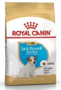 Royal Jack Russel Puppy 500g