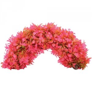 Zolux Napowietrzacz AEROPLANT łuk 