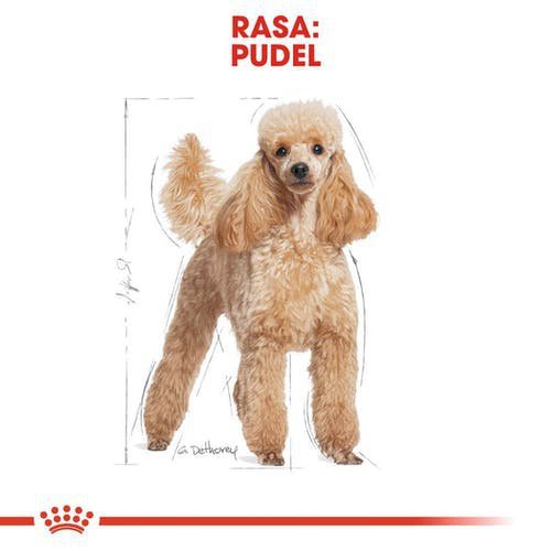 Royal 255610 Poodle Adult 1,5kg