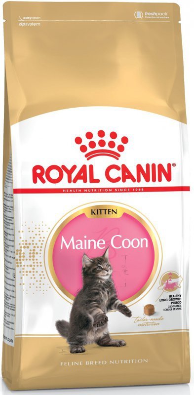 Royal Maine Coon Kitten 4kg