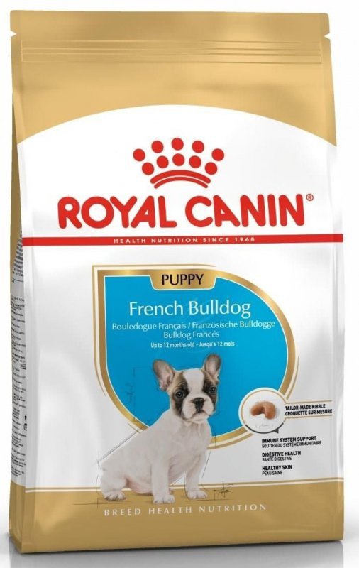 Royal French Bulldog Puppy 3kg