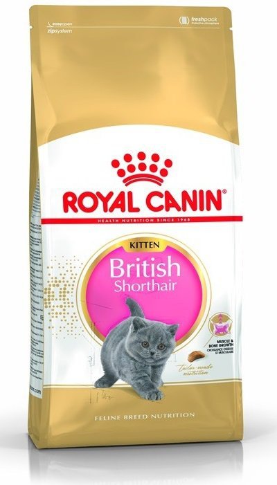 Royal British Shorthair Kitten 400g