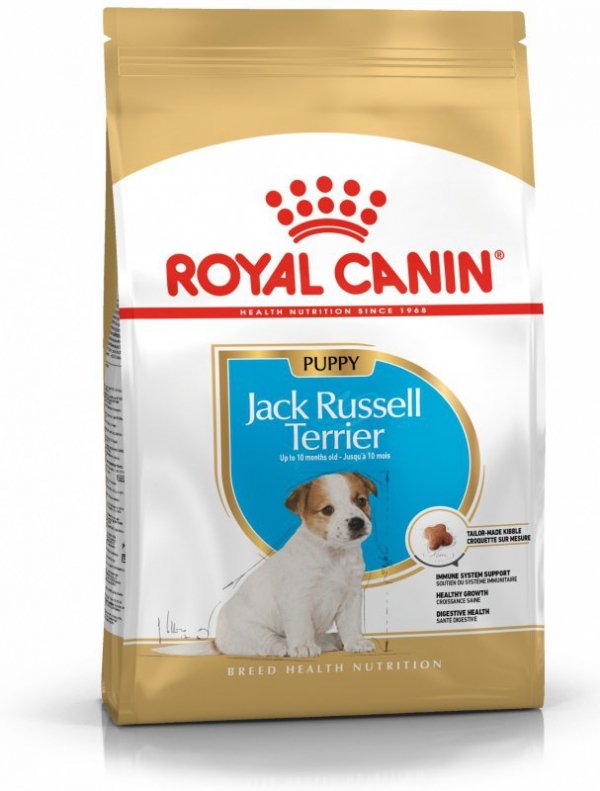 Royal Jack Russel Puppy 3kg