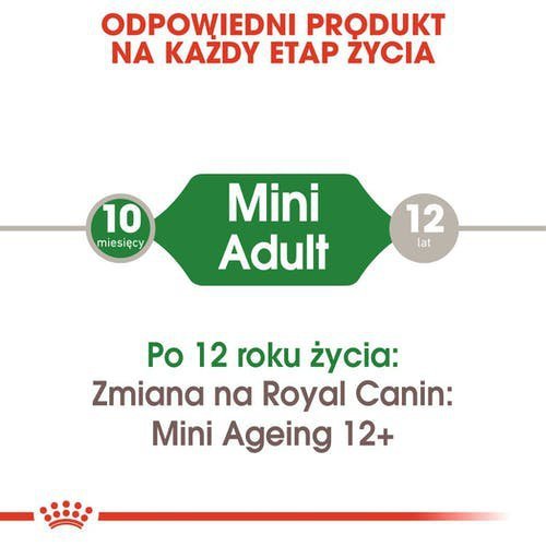 Royal Mini Adult 85g