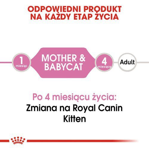 Royal Babycat PUSZKA 195g