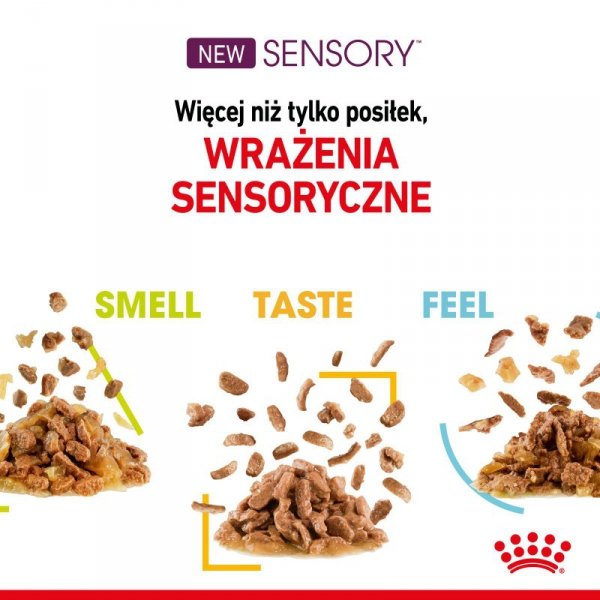 Royal Sensory MIX 12x85g Smell Taste Feel