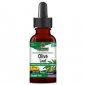 NATURE'S ANSWER Olive Leaf Extract - Ekstrakt z liścia oliwnego (60 ml) 