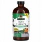 NATURE'S ANSWER Turmeric with Black Pepper - Kurkuma + Czarny pieprz (480 ml) 