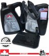 Filtr + olej DEXTRON VI automatycznej skrzyni biegów 4L80-E GMC Sierra -2007