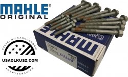 Śruby głowicy cylindrów silnika Pontiac G8 V8 2008-2009