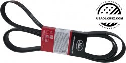Pasek wielorowkowy MICRO osprzętu silnika Ford F-150 F150 6,2 V8 2010-2014