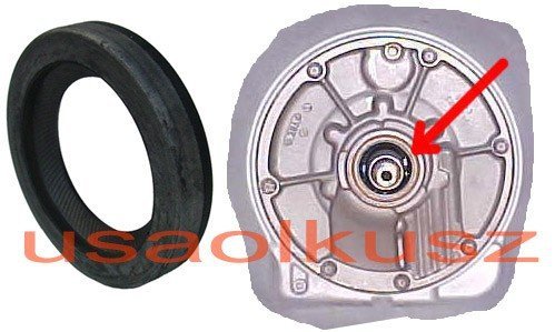 Uszczelniacz konwertera Dodge Dynasty