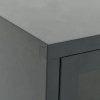 Szafka pod telewizor, antracytowa, 90x30x44 cm, stal i szkło