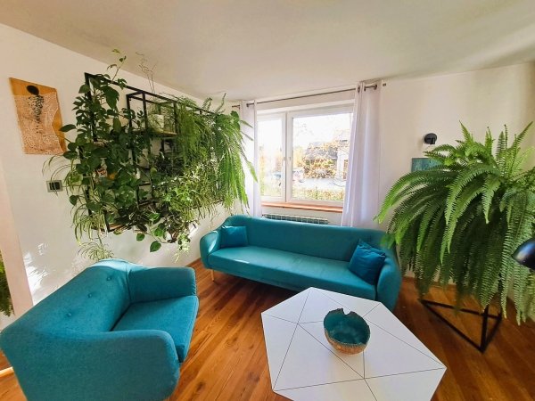 salon-kwiaty-sofa-fotel-stolik-doniczka