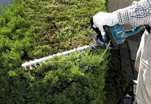 NOŻYCE AKUMULATOROWE DO ŻYWOPŁOTU 650MM 2*18V 0*AH LI-LON (1 SZT)