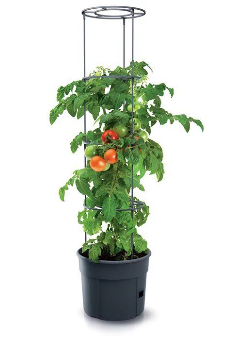 DONICZKA TOMATO GROWER - ANTRACYTOWY 28L (1 SZT)