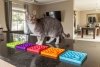 Mata LickiMat® Classic Catster™ zielona