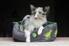 Kiwi Walker OVAL PET BED zielono-szary rozmiar M