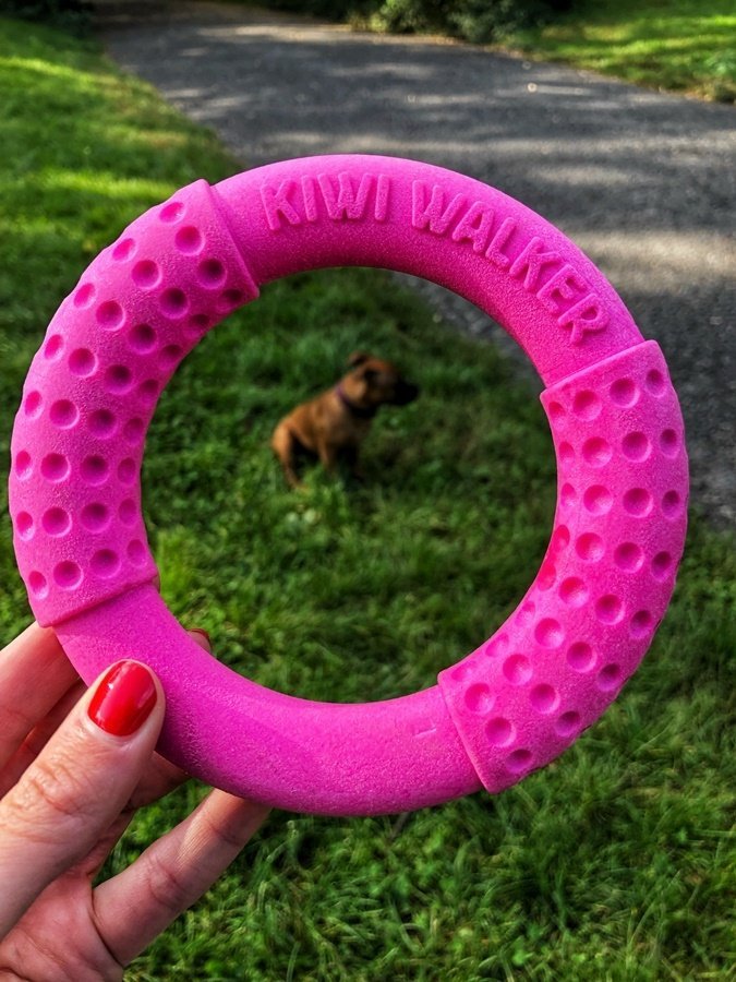 Kiwi Walker Let's Play! RING Maxi niebieski