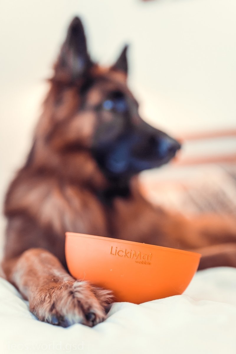 Mata LickiMat® Wobble™ turkusowa