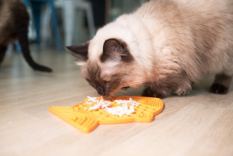 Mata LickiMat® Classic Felix™ turkusowa