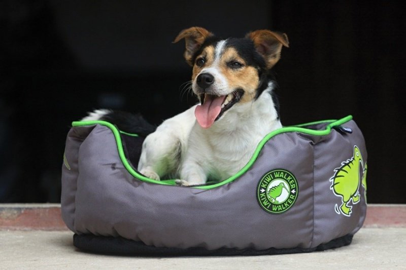 Kiwi Walker OVAL PET BED zielono-szary rozmiar M