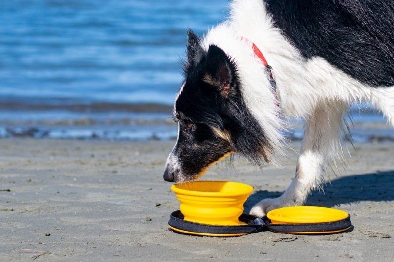 Kiwi Walker TRAVEL DOUBLE BOWL zestaw misek turystycznych różowych